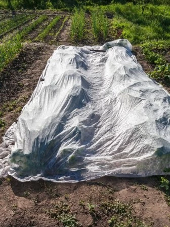 Textilie netkan&aacute; 1,6 x 10 m (17 g/m2) b&iacute;l&aacute;