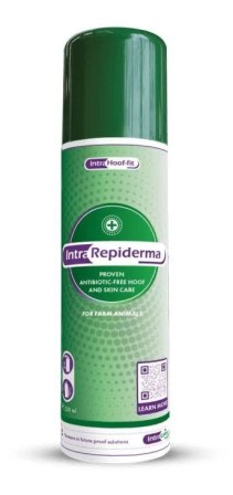 Intra REPIDERMA (250 ml) sprej bez antibiotik